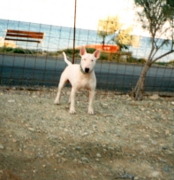 fr2.jpg (42784 bytes)