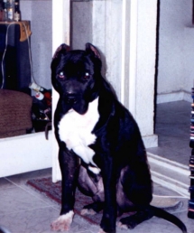 frank14.jpg (49637 bytes)