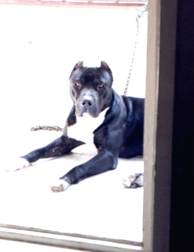 frank15.jpg (27647 bytes)