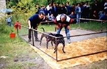 frank18.jpg (24832 bytes)