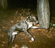 frank7.jpg (43642 bytes)